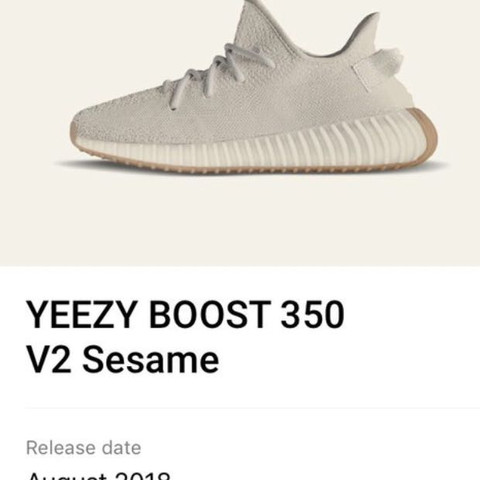 Cheap Adidas Yeezy Boost 350 V2 Ash Pearl Size 12 Gy7658